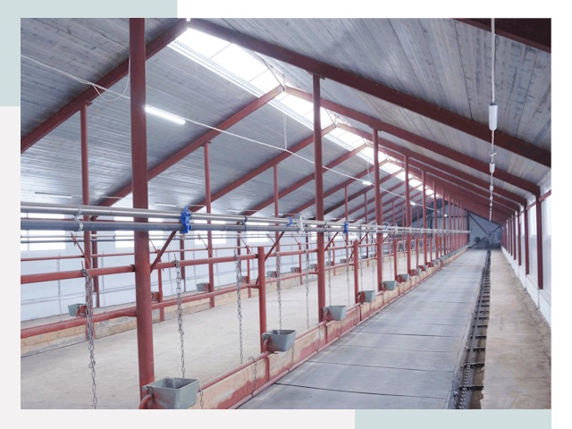 Строительство коровников в Луге от 619 руб.