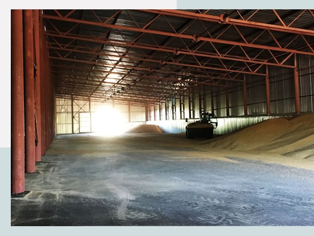 Строительство зернохранилищ в Луге