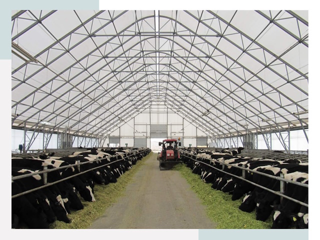 Тентовые коровники в Луге от 619 руб. - Надежно и доступно